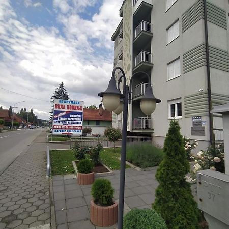 Apartmani - Vila Kovilje บันยา โควิลยาชา ภายนอก รูปภาพ