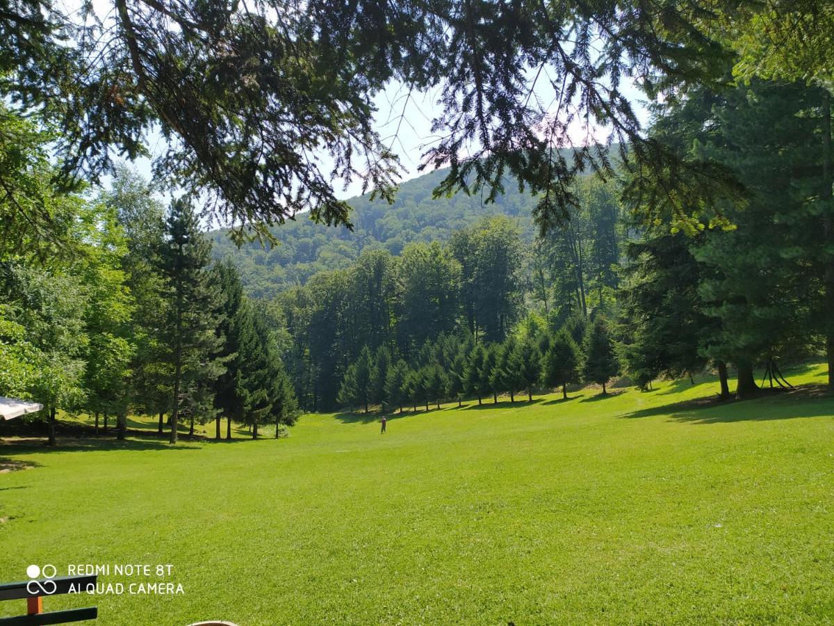 Apartmani - Vila Kovilje บันยา โควิลยาชา ภายนอก รูปภาพ