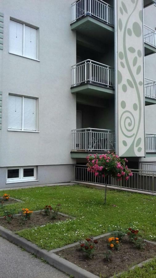 Apartmani - Vila Kovilje บันยา โควิลยาชา ภายนอก รูปภาพ
