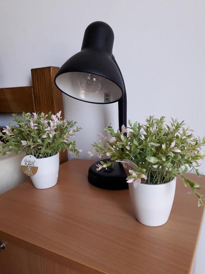 Apartmani - Vila Kovilje บันยา โควิลยาชา ภายนอก รูปภาพ