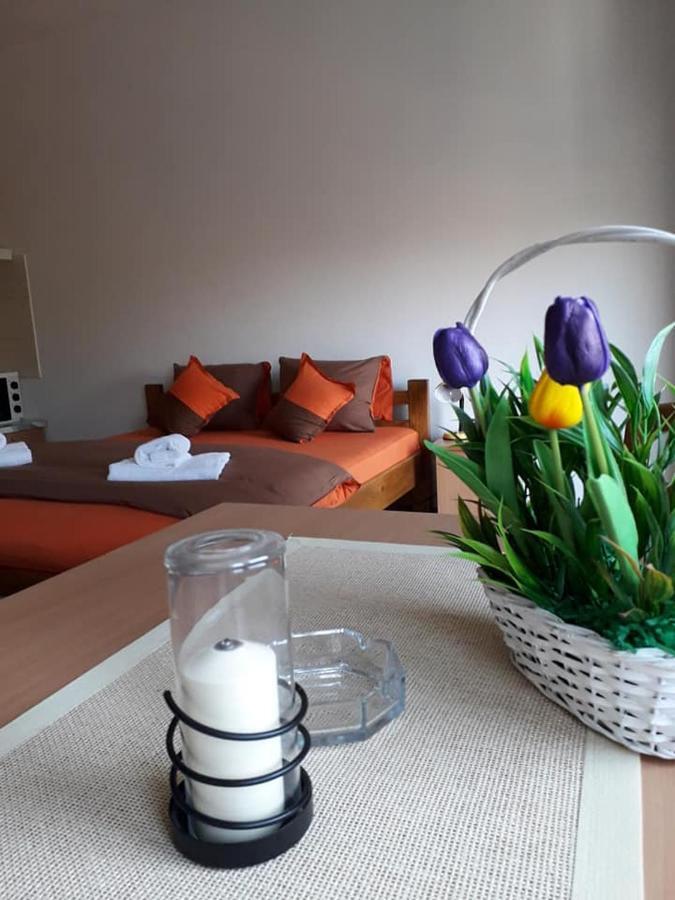 Apartmani - Vila Kovilje บันยา โควิลยาชา ภายนอก รูปภาพ